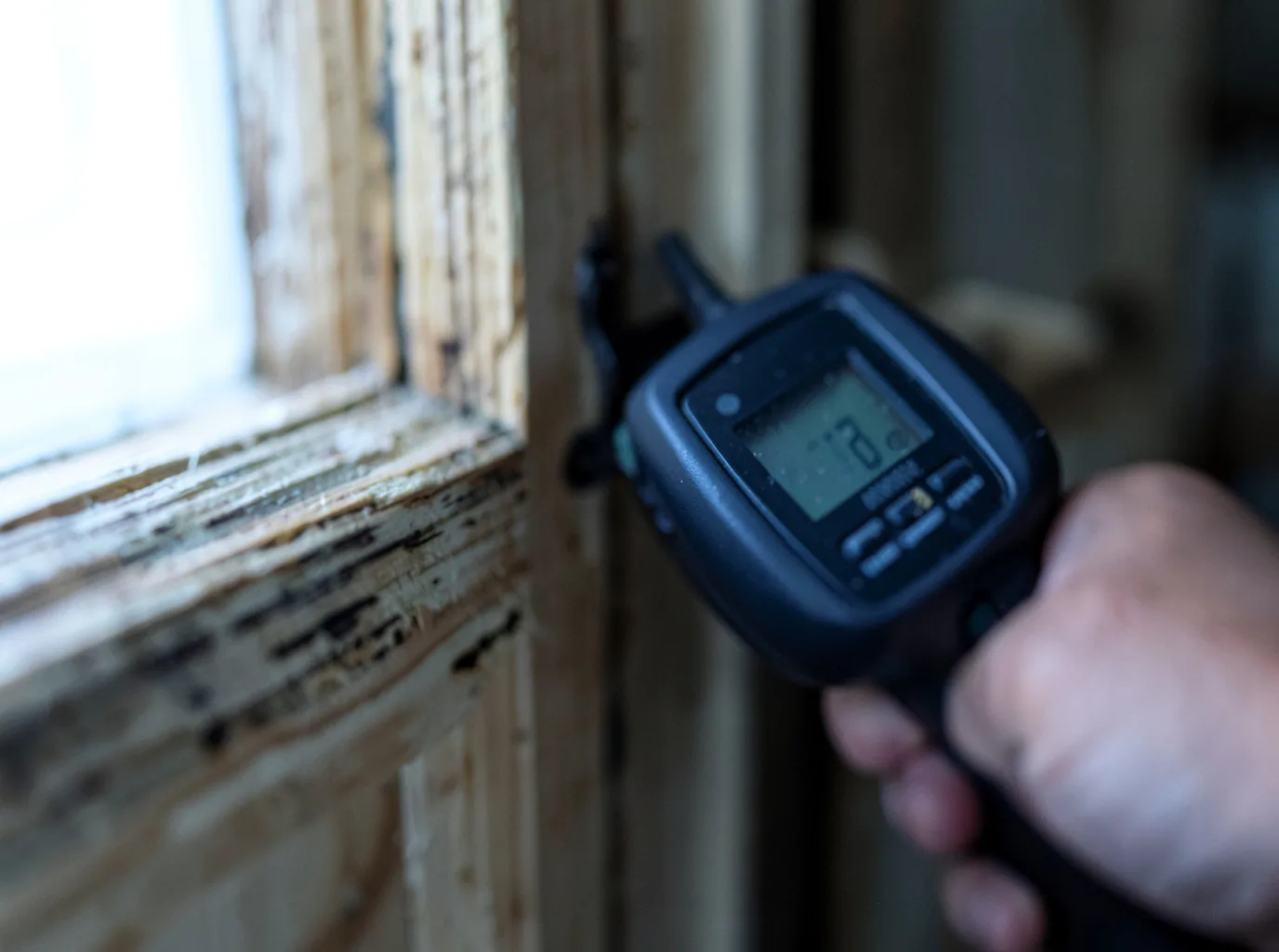 Moisture Inspection And Documentation in Santa Fe, TX